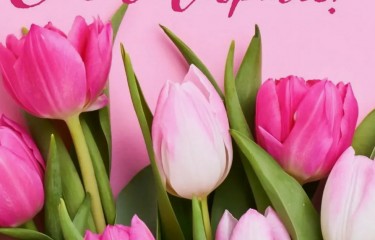 Поздравляем вас с прекрасным праздником 8 марта!
